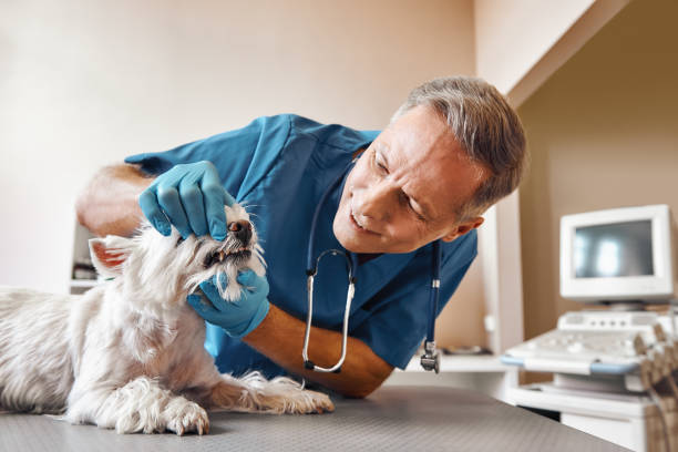 Best Broken Tooth Emergency  in Akwesasne, NY